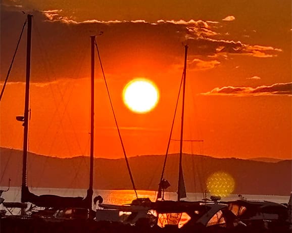 goose waterfront cashortrade