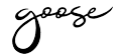 partner-goose